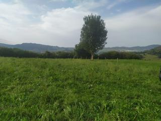 Terreny residencial a Lloreda - lloreda. Finca llana con vistas al valle de cayon