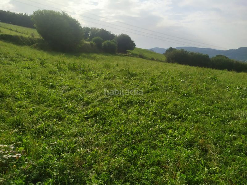 Foto f1e43bfd-118c-4997-9587-e9e2c852cb9c. Finca rústica a lloreda - lloreda a Santa María de Cayón