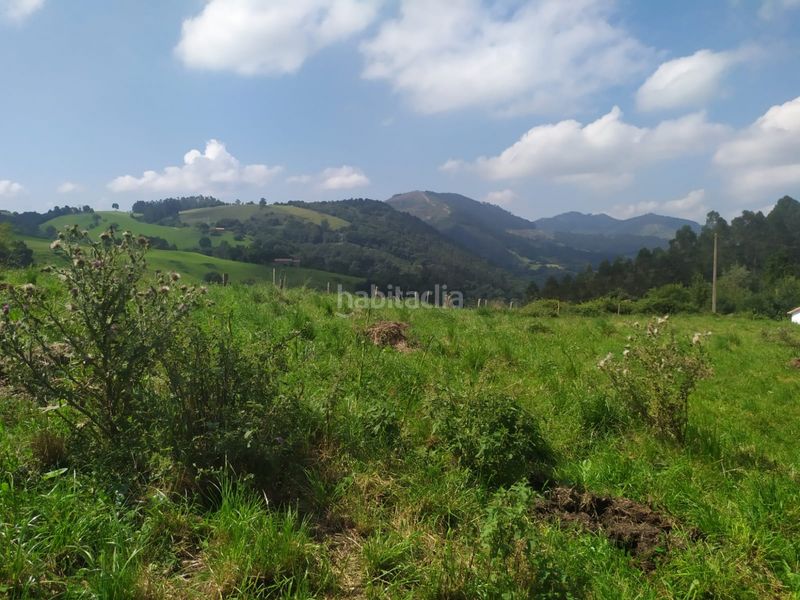 Foto 48dba753-69cc-4b81-bb48-43d2994ce753. Finca rústica a lloreda - el tuzo a Santa María de Cayón