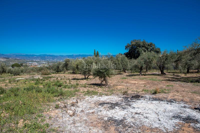 Foto 063b2528-8bb3-4e3c-802d-323dd03367b3. Residential plot in Pinos de Alhaurín Alhaurín de la Torre