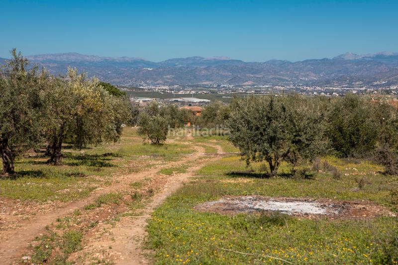 Foto 21268cb0-6644-4462-866e-478f2b78c13f. Residential plot in Pinos de Alhaurín Alhaurín de la Torre