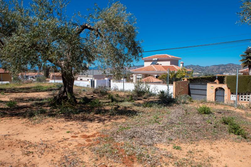Foto 255e875c-2574-4415-be0c-ef561e5a69ba. Residential plot in Pinos de Alhaurín Alhaurín de la Torre