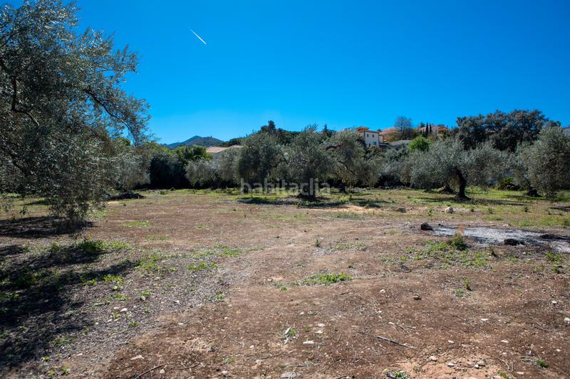 Foto 301170ee-b3f7-4c12-84ac-891f1af66315. Residential plot in Pinos de Alhaurín Alhaurín de la Torre
