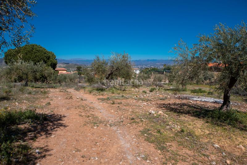 Foto 4168e7a7-1eda-49a2-baed-4f25fc6963e1. Residential plot in Pinos de Alhaurín Alhaurín de la Torre