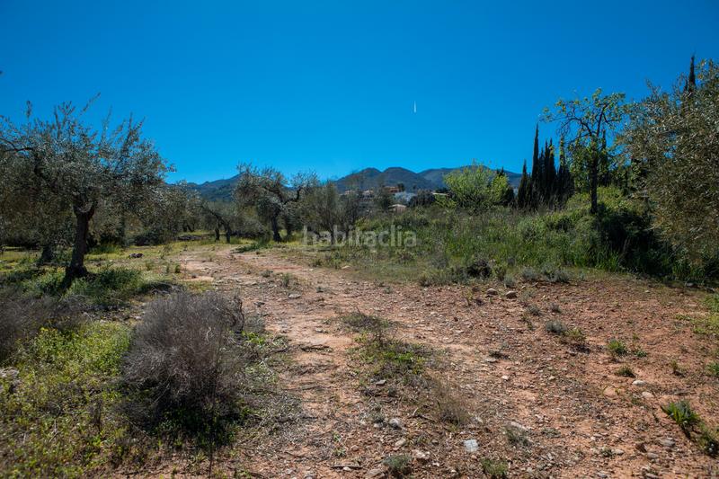 Foto 461a4dfa-012c-4842-be8b-9dbb51a6e928. Residential plot in Pinos de Alhaurín Alhaurín de la Torre