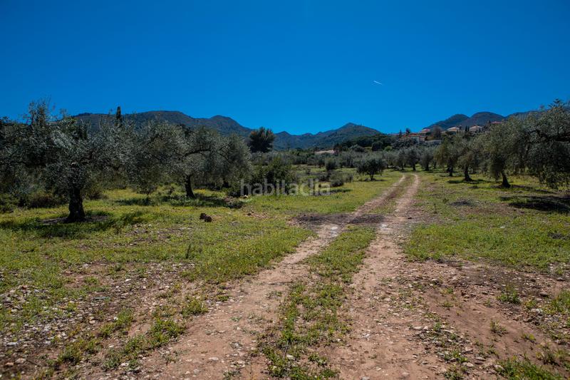 Foto 7d12ddf8-9562-4544-a696-1ab7675a9b7d. Residential plot in Pinos de Alhaurín Alhaurín de la Torre