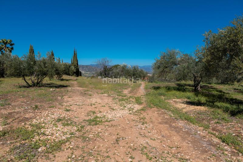 Foto 8ac40150-7810-42a9-b508-2832f022e475. Residential plot in Pinos de Alhaurín Alhaurín de la Torre