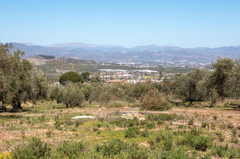 Foto a2f5fe40-4602-45b1-b62f-21cbf29d4681. Residential plot in Pinos de Alhaurín Alhaurín de la Torre