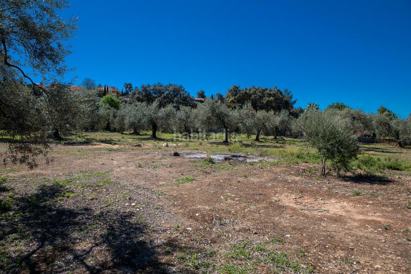 Foto b09af376-9203-49a1-9c0c-a3fc60e54b9b. Residential plot in Pinos de Alhaurín Alhaurín de la Torre
