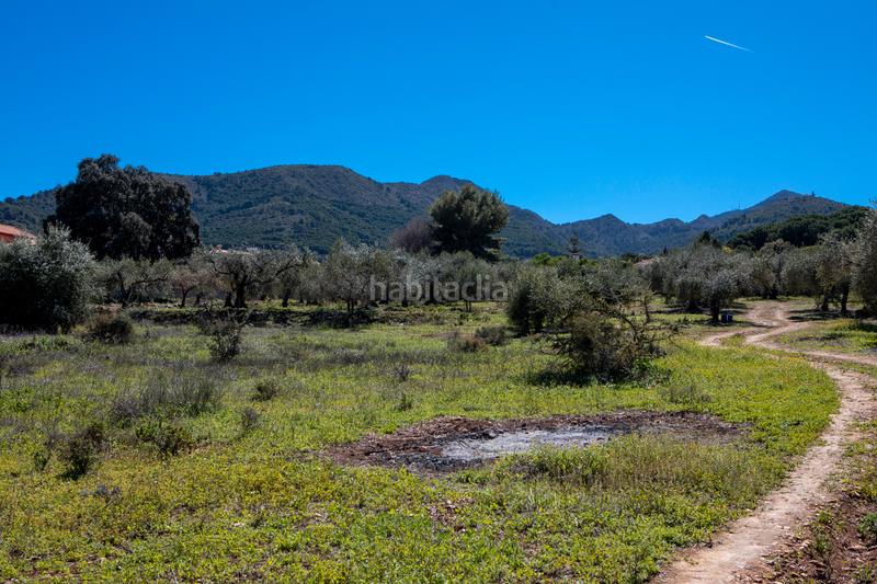 Foto be393336-462f-4491-b12d-e92c8dbf9f27. Residential plot in Pinos de Alhaurín Alhaurín de la Torre