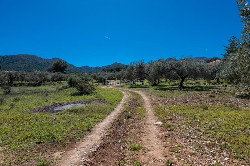 Foto c7fb6a6b-918a-4024-832e-3d4123f5b24d. Residential plot in Pinos de Alhaurín Alhaurín de la Torre