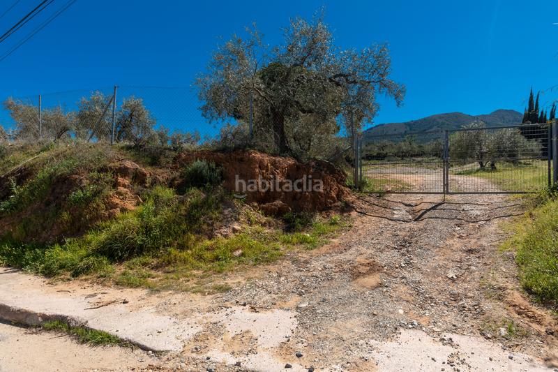 Foto e52bf4ff-bc1e-483a-b04c-bef7e85561ab. Residential plot in Pinos de Alhaurín Alhaurín de la Torre