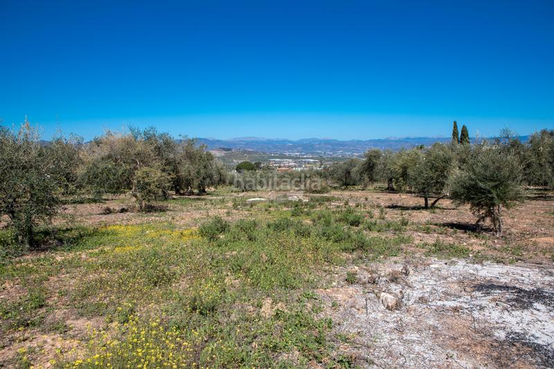 Foto f7b80a40-6994-4252-b7c3-c1c969b53769. Residential plot in Pinos de Alhaurín Alhaurín de la Torre