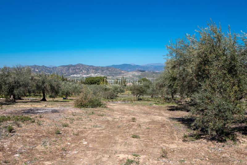 Foto fd378e02-4ec4-4371-8246-3af67358e35e. Residential plot in Pinos de Alhaurín Alhaurín de la Torre