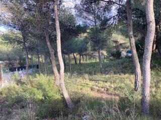 Terreny residencial  Urbanización pinares del mecli izqd. Parcela en pinar de mecli