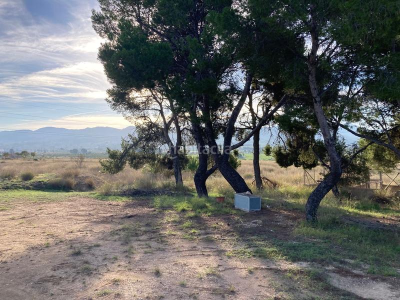 Foto 06b86482-842e-4bd2-81dc-07bad9746758. Fondo rustico in avenida de onil 57 in Castalla