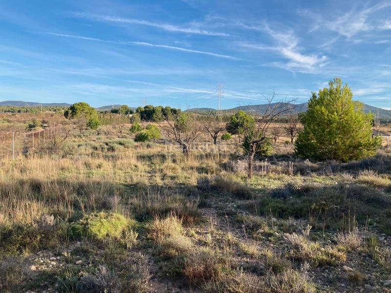 Foto 0e703490-542d-40ea-b3c2-71dc6c309387. Fondo rustico in avenida de onil 57 in Castalla