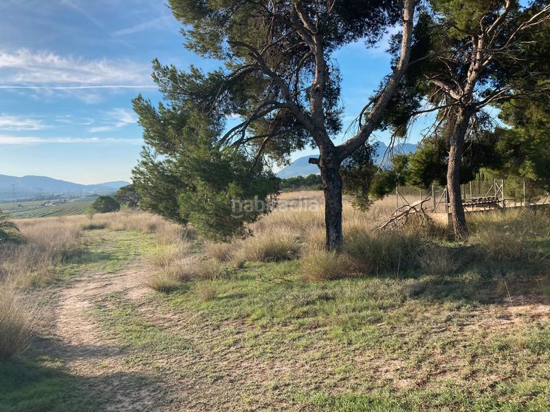 Foto 3b8de97a-338e-4f30-9806-13fcc21812da. Fondo rustico in avenida de onil 57 in Castalla