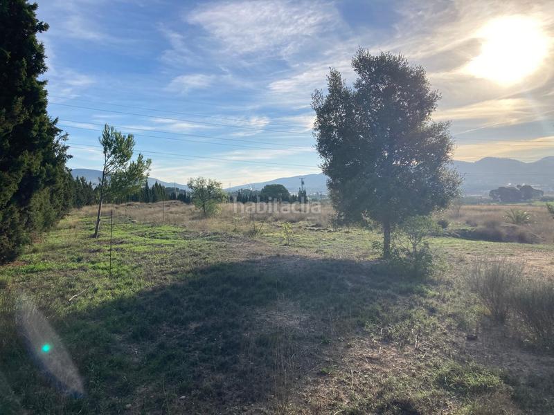 Foto 5cb5457e-7b7d-4c2a-bc44-19382ad529e7. Fondo rustico in avenida de onil 57 in Castalla