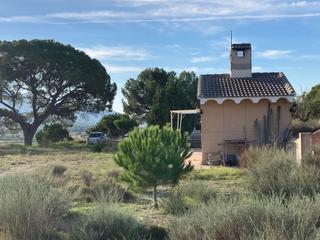 Finca rústica a Avenida de onil 57. Suelo rustico en castalla 45346 m2
