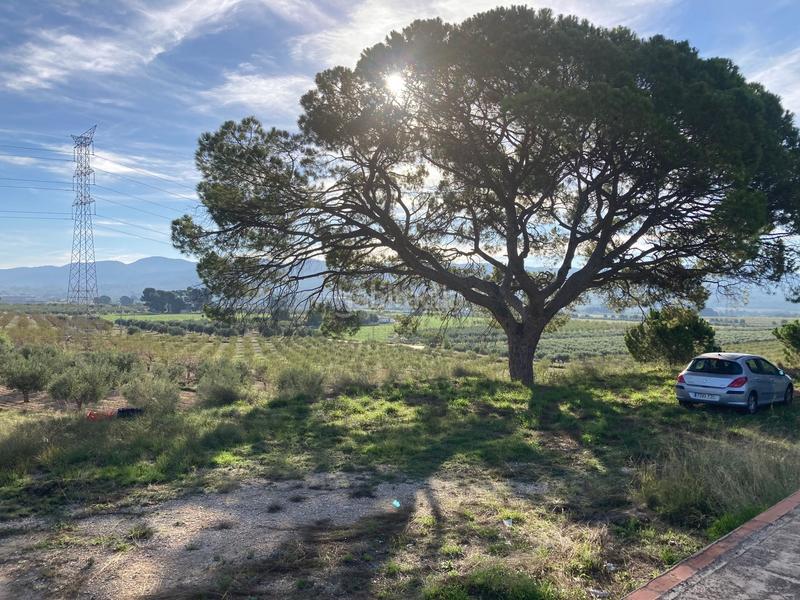 Foto 9d3880cf-9678-4708-8682-b857271b5761. Fondo rustico in avenida de onil 57 in Castalla