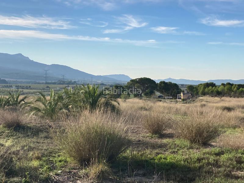 Foto c3a2ed8c-4935-4269-9c16-e8b1e2b56fb4. Fondo rustico in avenida de onil 57 in Castalla