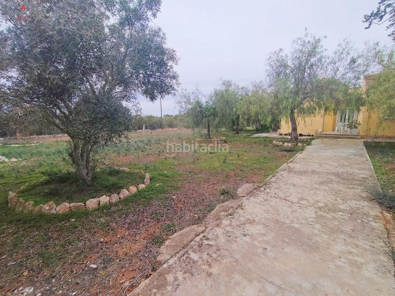 Foto efc1435e-b5b2-4fbe-b311-55f75fcf2f72. Casale con piscina in Llucmajor interior Llucmajor