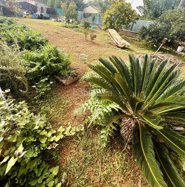 Foto de9f4a02-05e5-4e8e-85e2-d99a8794eaf8. Xalet amb calefacció aparcament piscina a Son Ametller Marratxí
