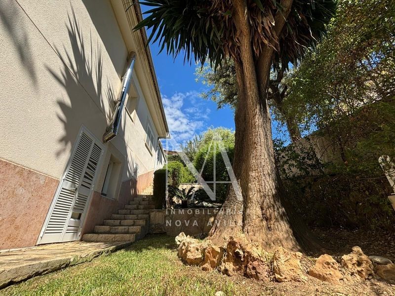 Foto 3897174a-7a53-451e-90e5-7a8276a9a26f. Xalet amb aparcament piscina a Son Amonda - Reis Catòlics Inca