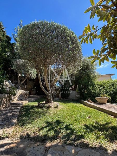 Foto 6fd45507-c8c7-403d-bf76-7a00b99b5189. Xalet amb aparcament piscina a Son Amonda - Reis Catòlics Inca