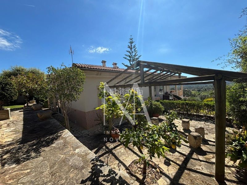 Foto 8ba7eeb1-4c1b-408b-bb86-b32f4fe699c3. Xalet amb aparcament piscina a Son Amonda - Reis Catòlics Inca