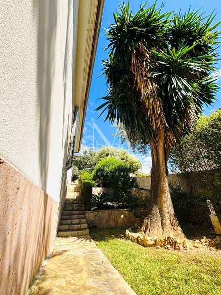 Foto 99166c93-4527-4fb9-aa80-0e1429d2206c. Xalet amb aparcament piscina a Son Amonda - Reis Catòlics Inca