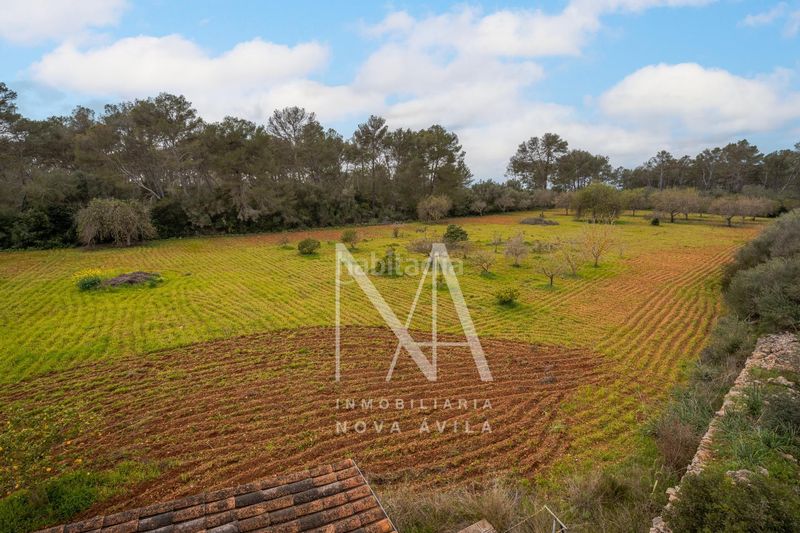 Foto 37898459-613b-4fb5-8c76-79e9ec42bfe0. Masia a Sencelles