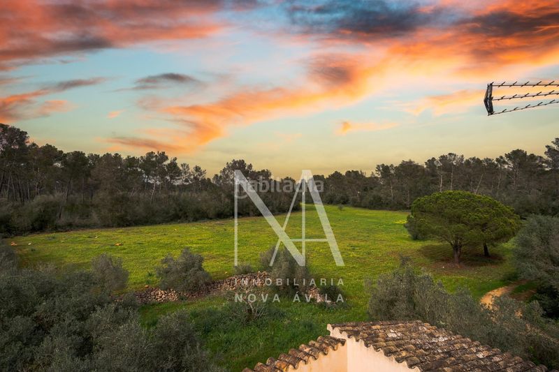 Foto 3e7645c0-2cf2-4ec5-9710-c87bad869cda. Masia a Sencelles