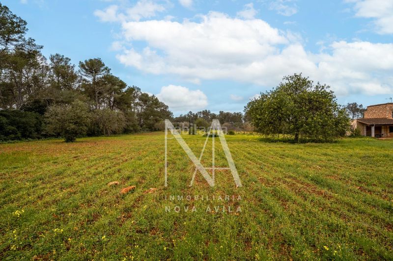 Foto 7bc761d2-981a-4f29-bb2e-80b072e54c4a. Masia a Sencelles