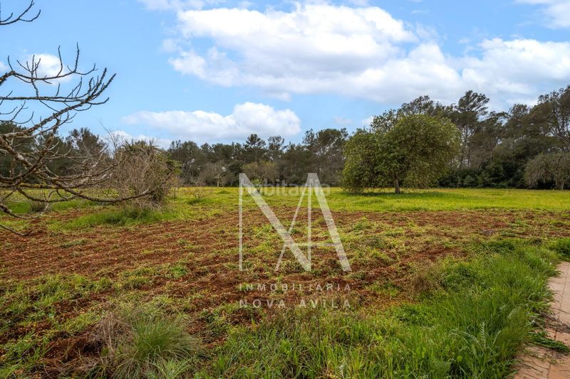 Foto b2e99c3e-2b18-4e61-be29-cc3be4212401. Masia a Sencelles