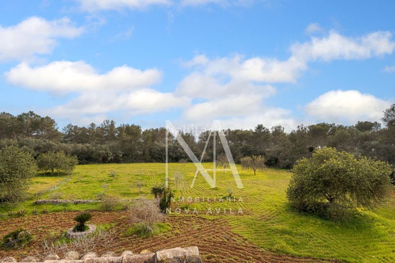 Foto c5aff939-3ecf-4ef2-af3d-c3b325860588. Masia a Sencelles