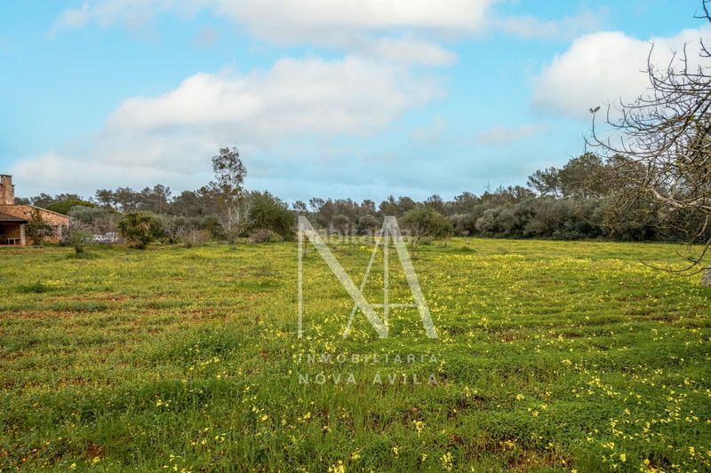 Foto d51f9e76-6670-484b-a994-635d2c652771. Masia a Sencelles