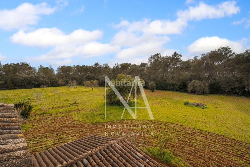 Foto e8bf46a2-0379-4f28-bccf-e6771221772a. Masia a Sencelles