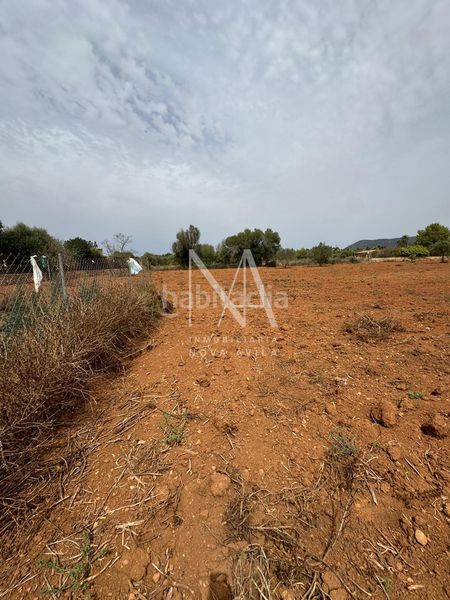 Foto f6057257-98ac-4cbb-9e6f-953ced717209. Casale in Llucmajor interior Llucmajor