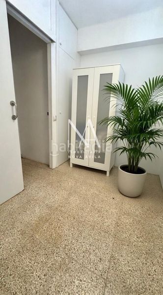 Foto 36814355-74cd-43e0-a7f9-0c33ed921e35. Pis a Cas Capiscol Palma de Mallorca