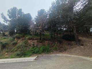 Residential Plot in Almoster. Terreno en almoster