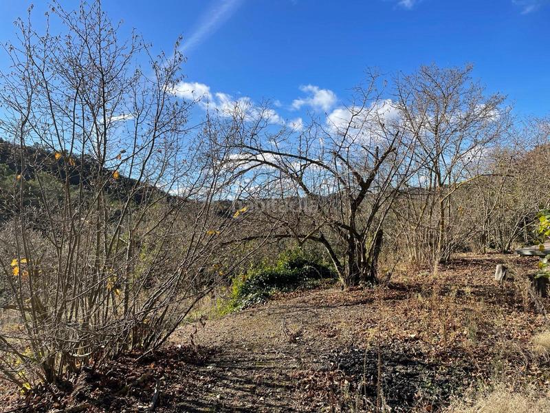 Foto 52824522-637d-40c7-956c-6c32448599c8. Finca rústica conjunto de 3 fincas en carretera en Alforja