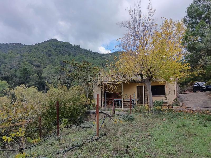 Foto 90a44974-fce4-4bea-8a24-1bb3e7554e65. Finca rústica conjunto de 3 fincas en carretera en Alforja