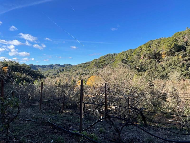 Foto c73bbef1-9525-4369-ac45-37765b1fc12e. Finca rústica conjunto de 3 fincas en carretera en Alforja