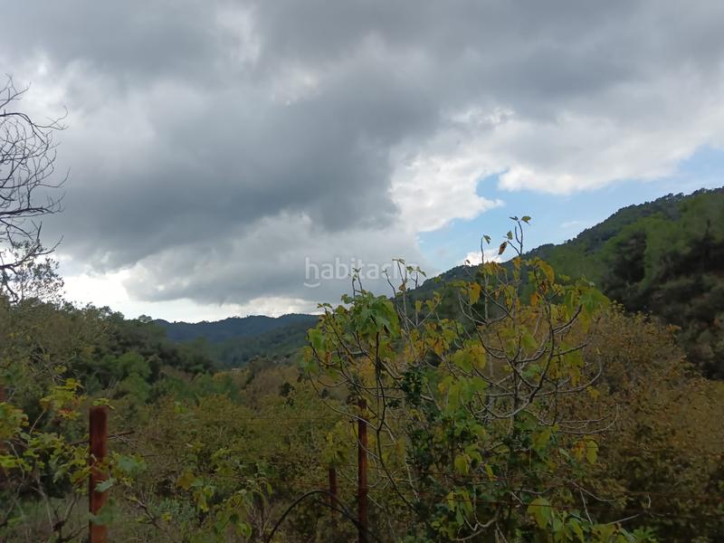 Foto d805f561-4303-4ac1-a3d7-ac8700cf8fc4. Finca rústica conjunto de 3 fincas en carretera en Alforja