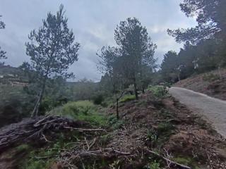 Residential Plot in Castellvell del Camp. Terreno para la vivienda de tus sueños