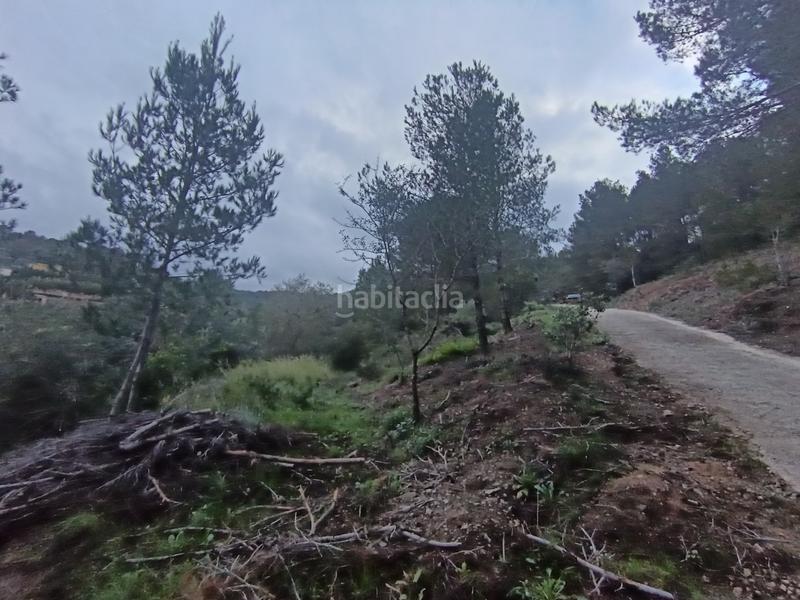 Foto 48d6c391-3919-45af-b2d7-d00f4badcadb. Terreno residenziale in Castellvell del Camp