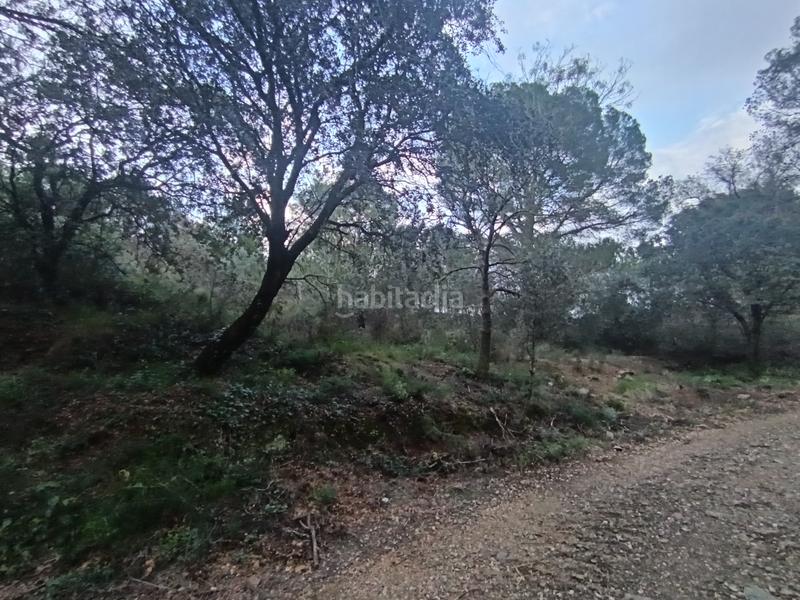 Foto 01373e38-eed2-4018-98fd-f36b8277bfa7. Terreno residenziale in Castellvell del Camp