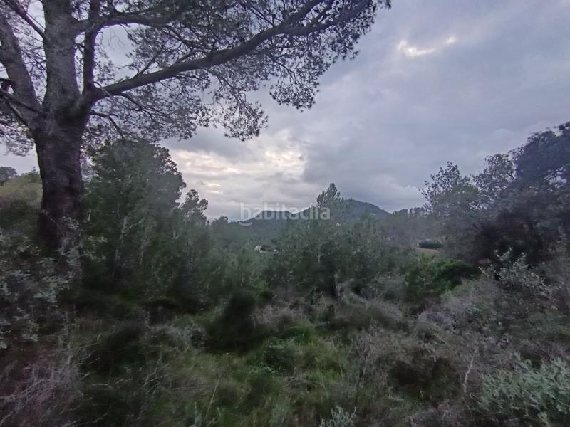 Foto 0e3ac5a0-3bc3-4055-84ed-d8019e083e90. Terreno residenziale in Castellvell del Camp